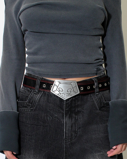 SUBSTITUTE BELT
