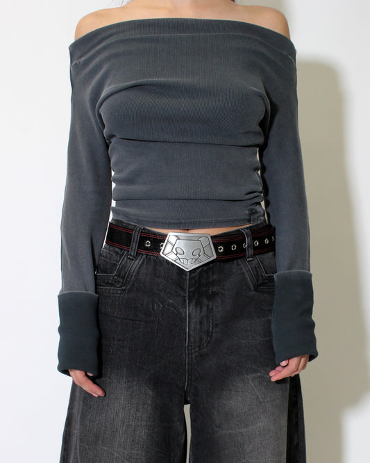 SUBSTITUTE BELT